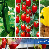 دوره جامع آموزش صوتی و تصویری محصولات گلخانه ای