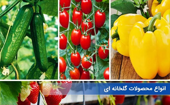 دوره جامع آموزش صوتی و تصویری محصولات گلخانه ای