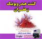 کشت #هیدروپونیک زعفران