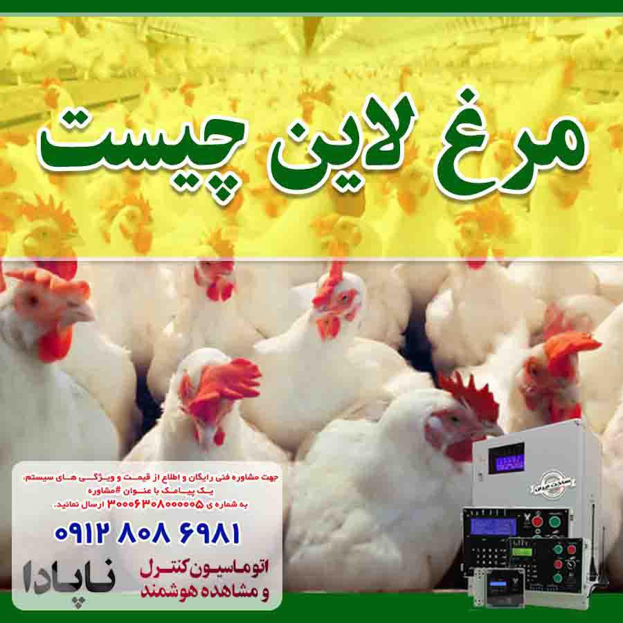 مرغ لاین چیست؟