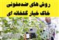 روش های ضدعفونی خاک #خیار گلخانه ای